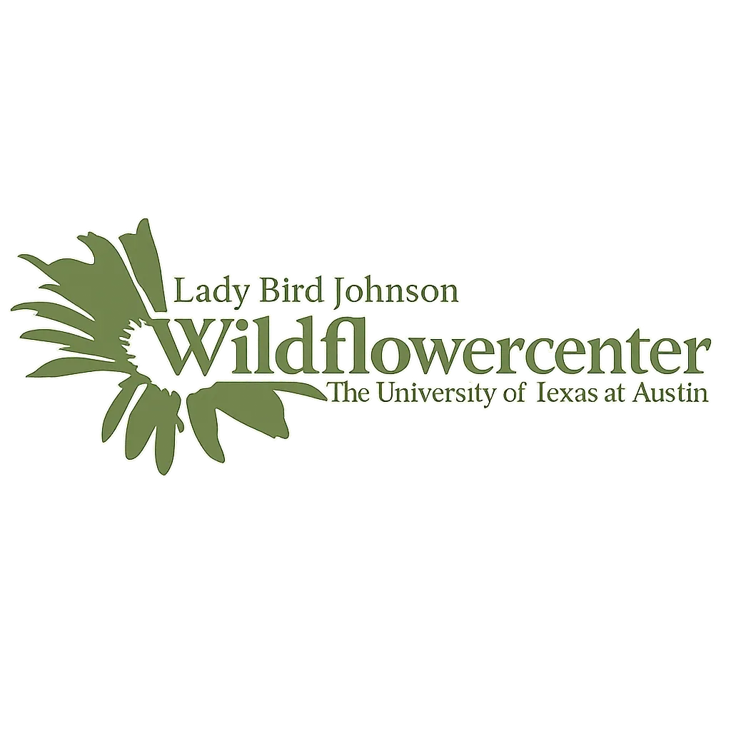 ChatGPT Image Feb 9, 2026, 04_03_49 PM