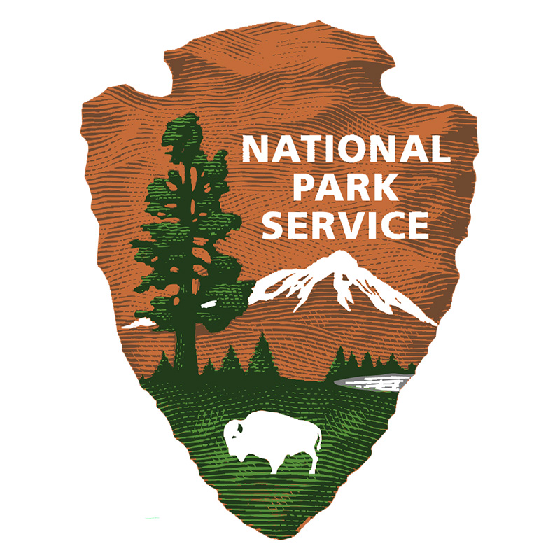 NPS